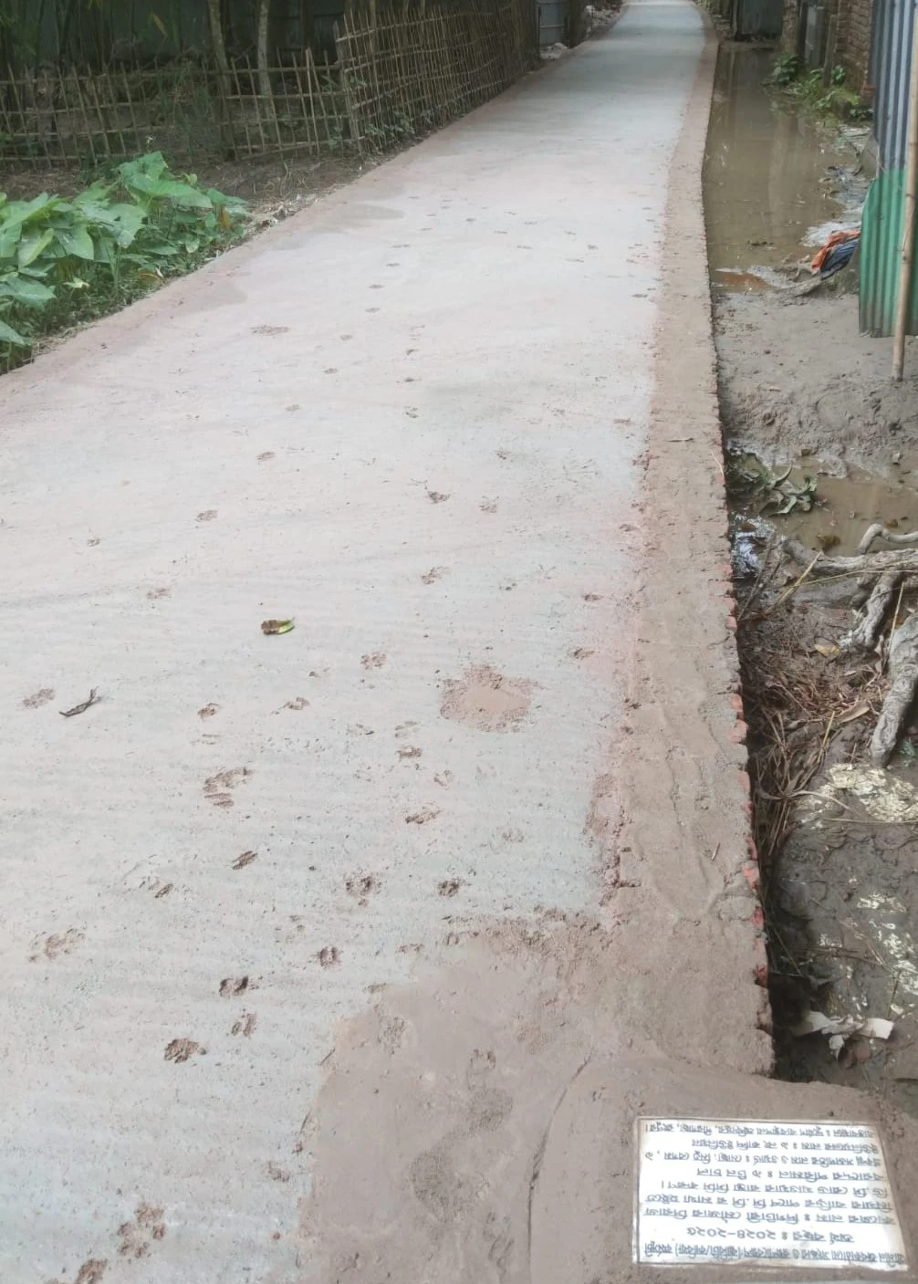 Doyani Moniram Road Project